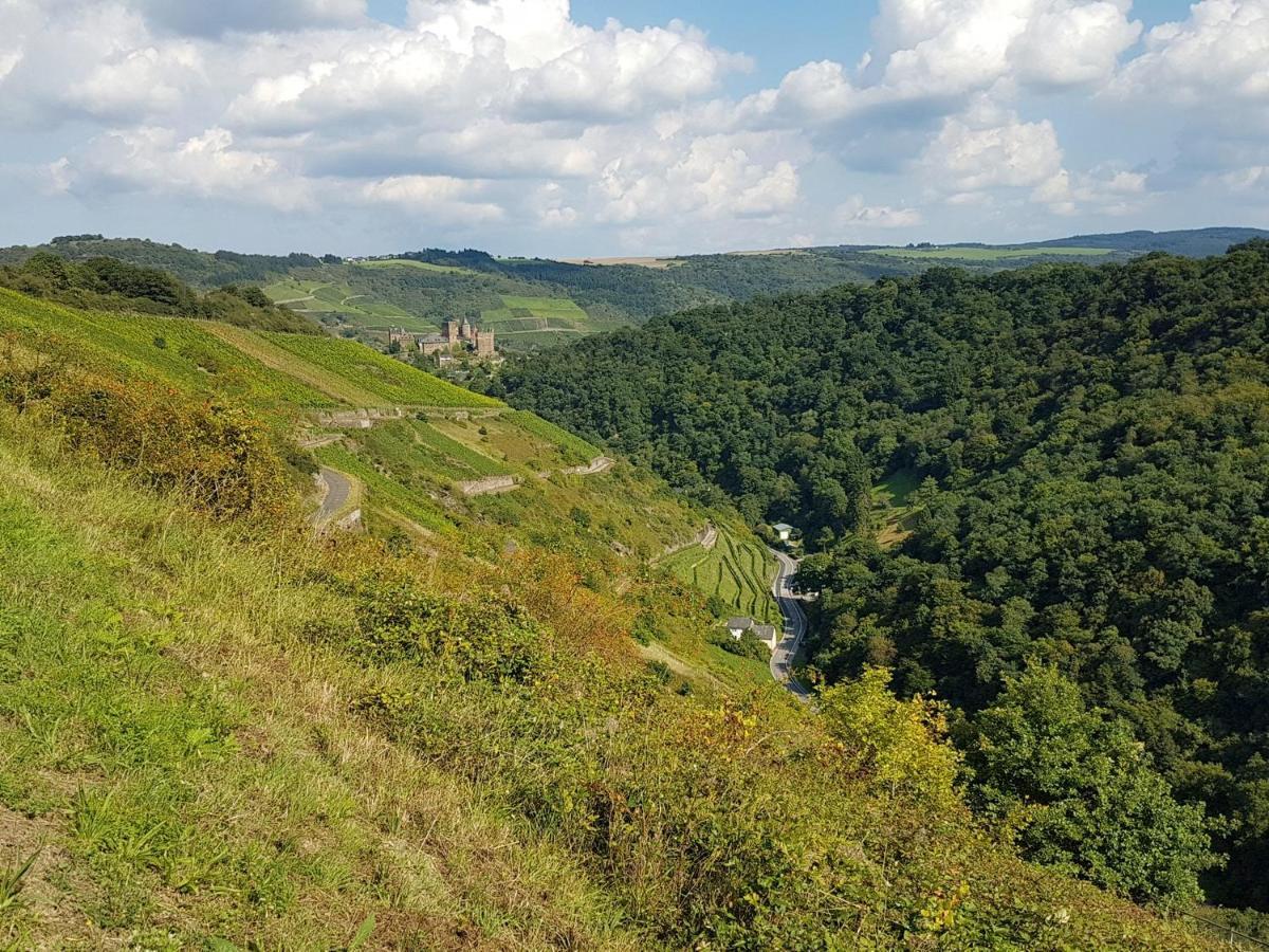 Апартаменты Rhine Pearl Hideaways Обервезель Экстерьер фото