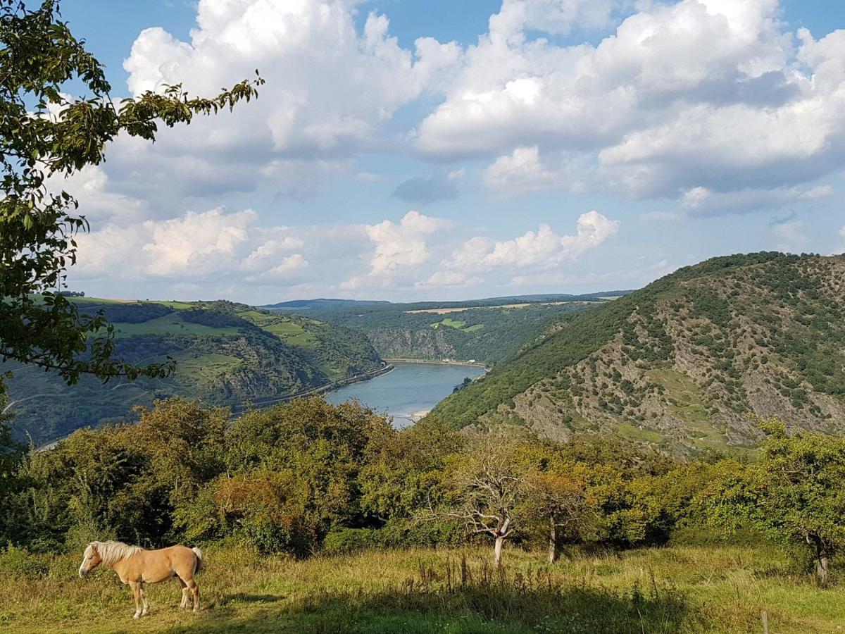 Апартаменты Rhine Pearl Hideaways Обервезель Экстерьер фото