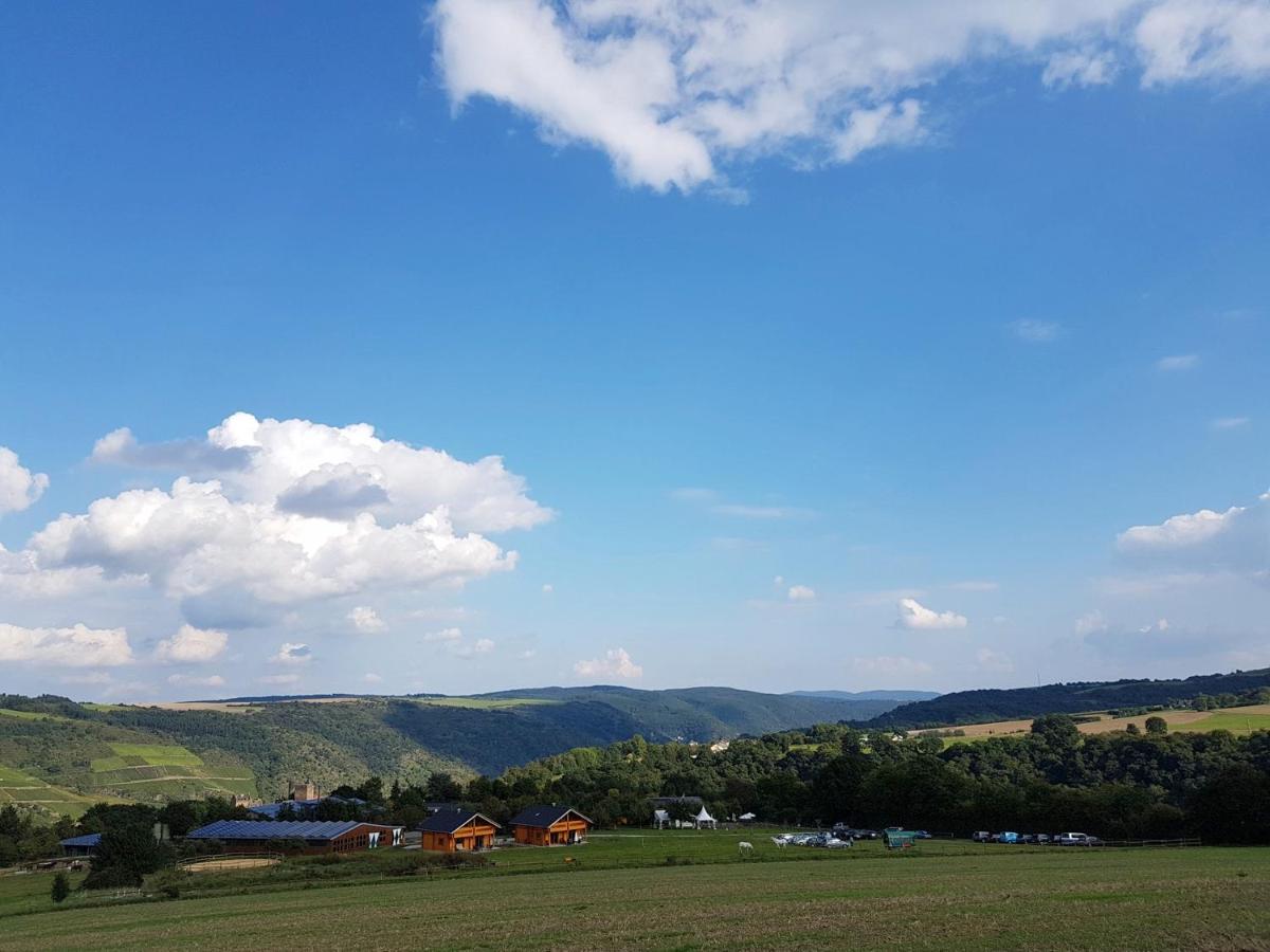 Апартаменты Rhine Pearl Hideaways Обервезель Экстерьер фото